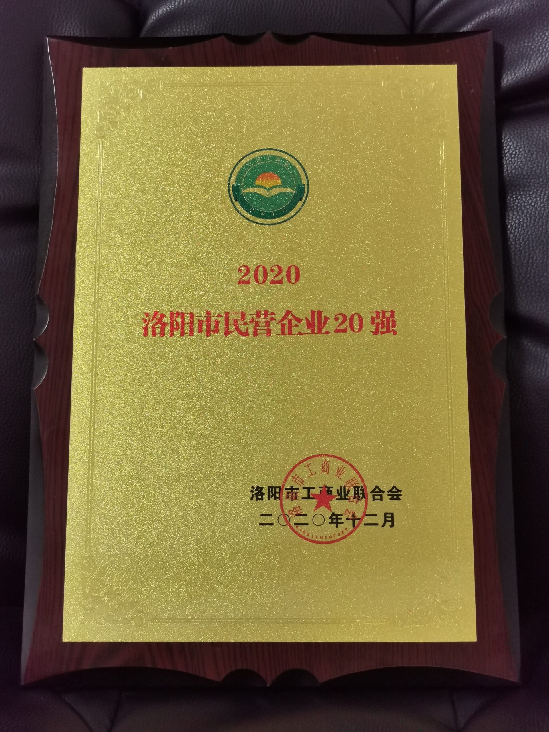 河南申泰控股集團(tuán)喜獲“2020洛陽民營企業(yè)20強(qiáng)”