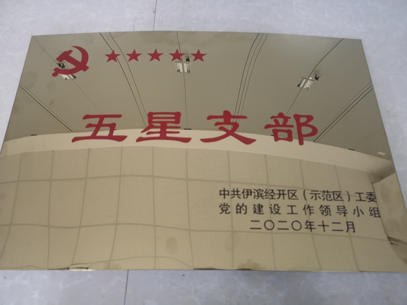 中共河南申泰控股集團(tuán)總支委員會被授予“五星支部”榮譽稱號
