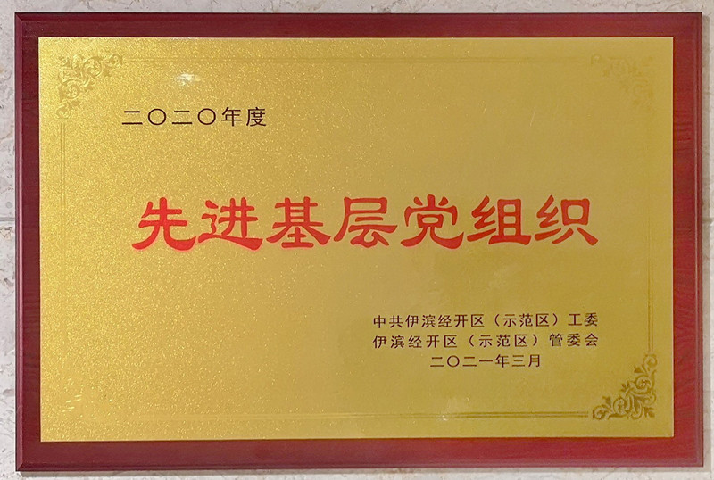 中共河南申泰控股集團(tuán)總支委員會榮獲 “2020年度先進(jìn)基層黨組織”榮譽稱號