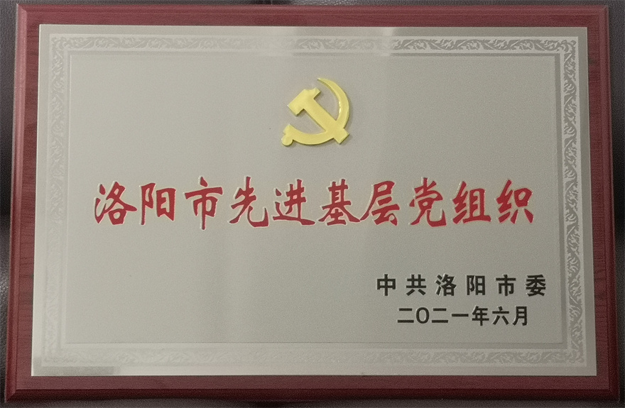 中共河南申泰控股集團黨總支榮獲 洛陽市先進基層黨組織榮譽稱號