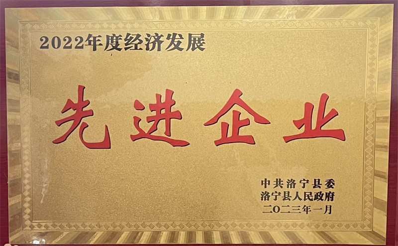 喜報！ 恭賀洛陽龍泰實業股份有限公司 榮獲“2022年度經濟發展先進企業”稱號